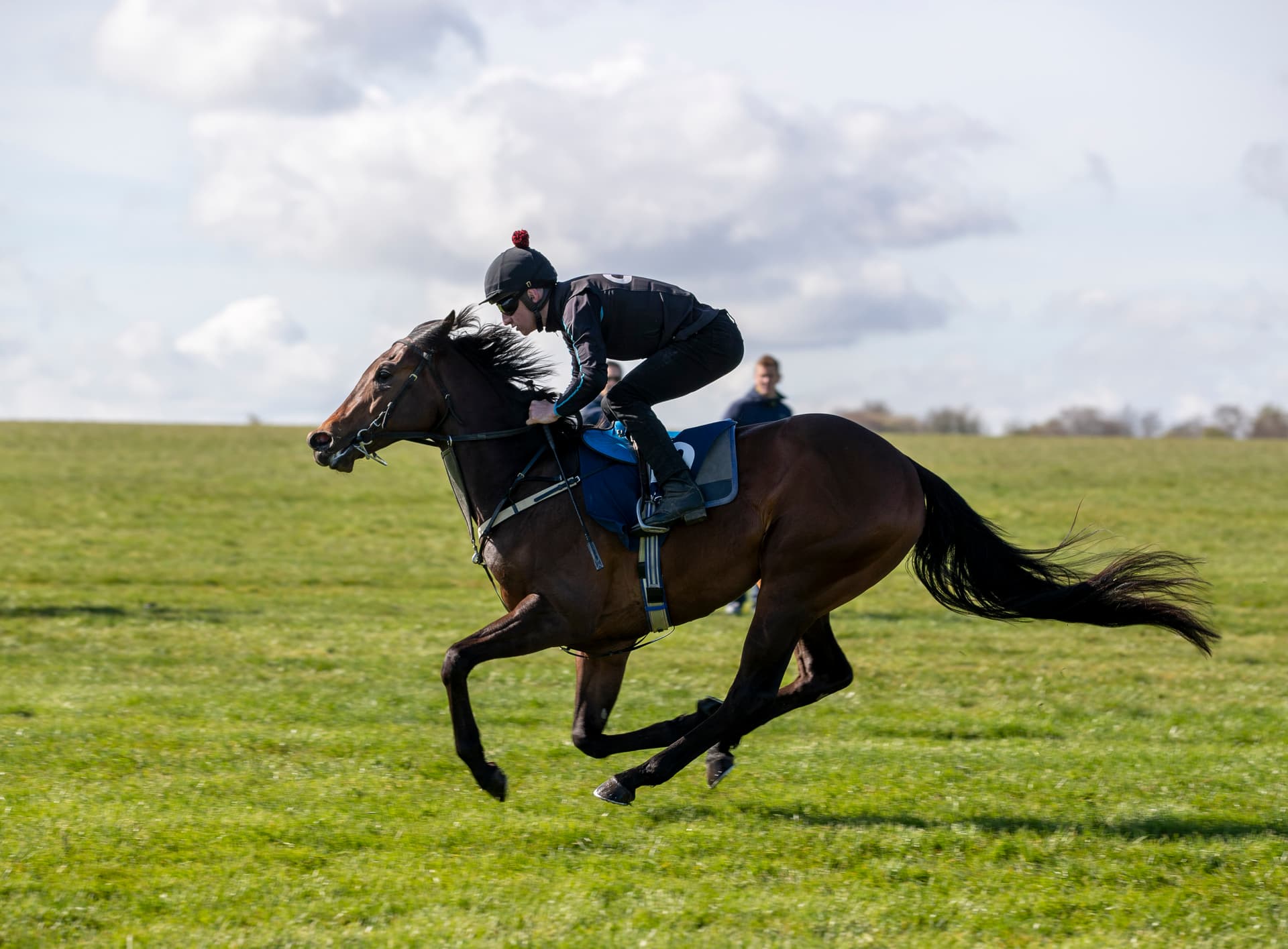 Willie Browne, 80, keeps breaking breeze-up records with million-guinea colts