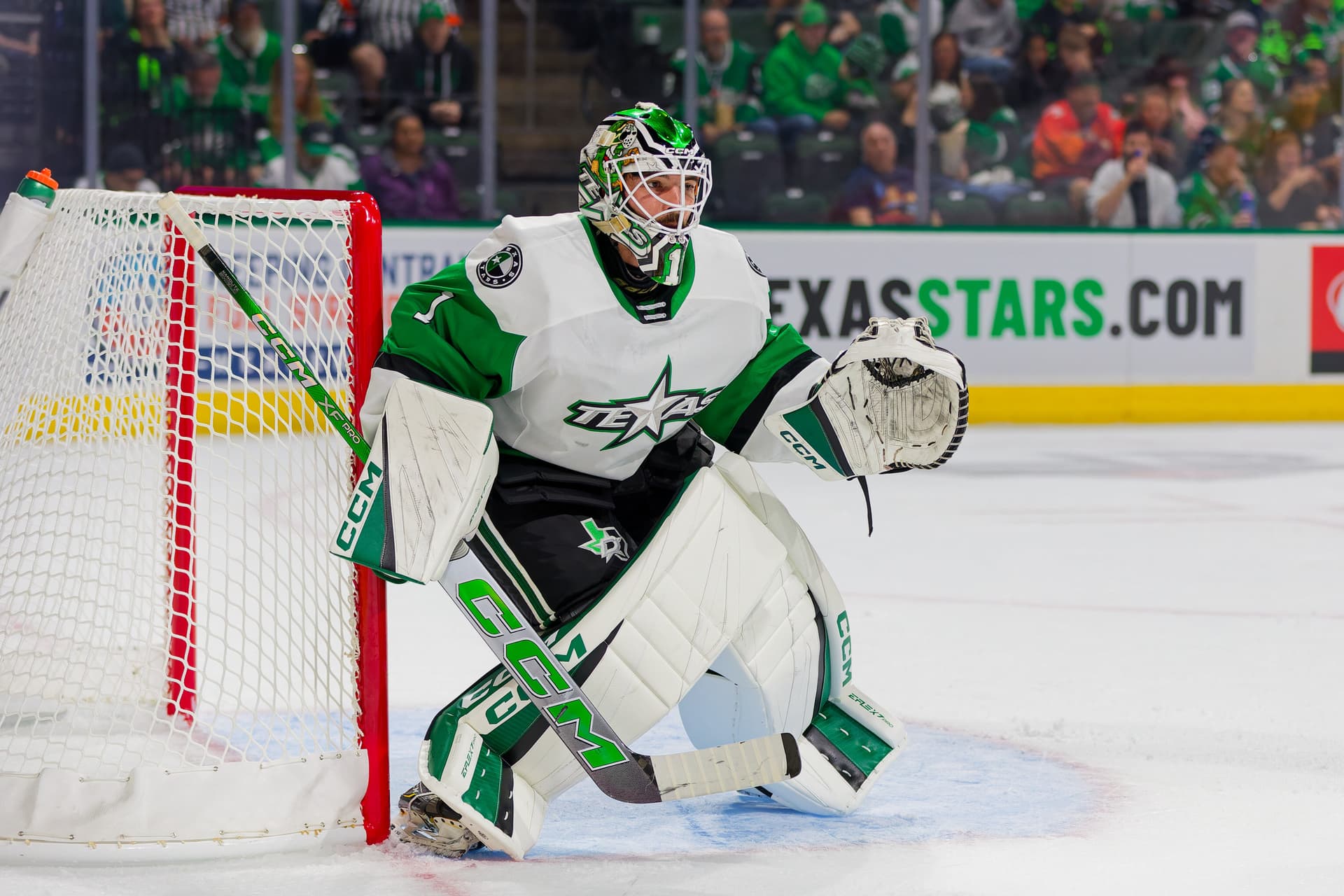 Remi Poirier Recalled by Dallas Stars as Goaltending Depth Move