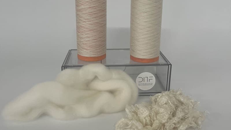 German Institute Turns Beech Wood Into Softer, Breathable Apparel Yarn
