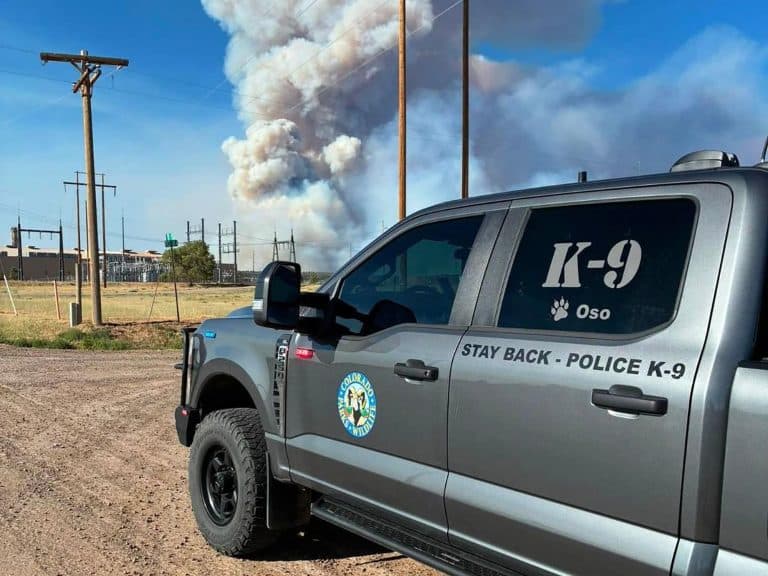 COTREX fire alerts help Las Animas County hikers avoid danger