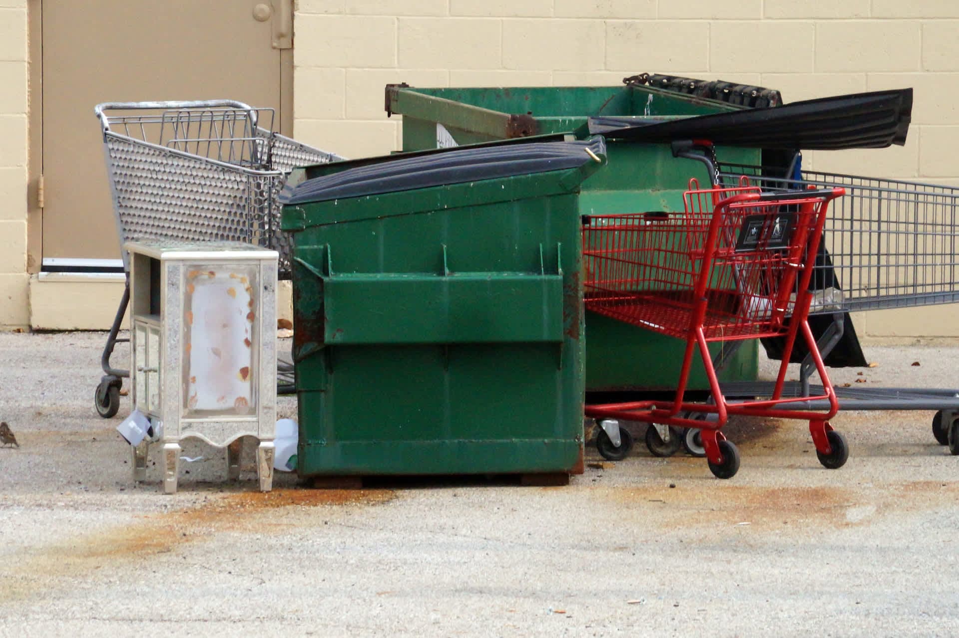 Dollar General Faces Backlash Over Discarding Edible Food in Dumpsters
