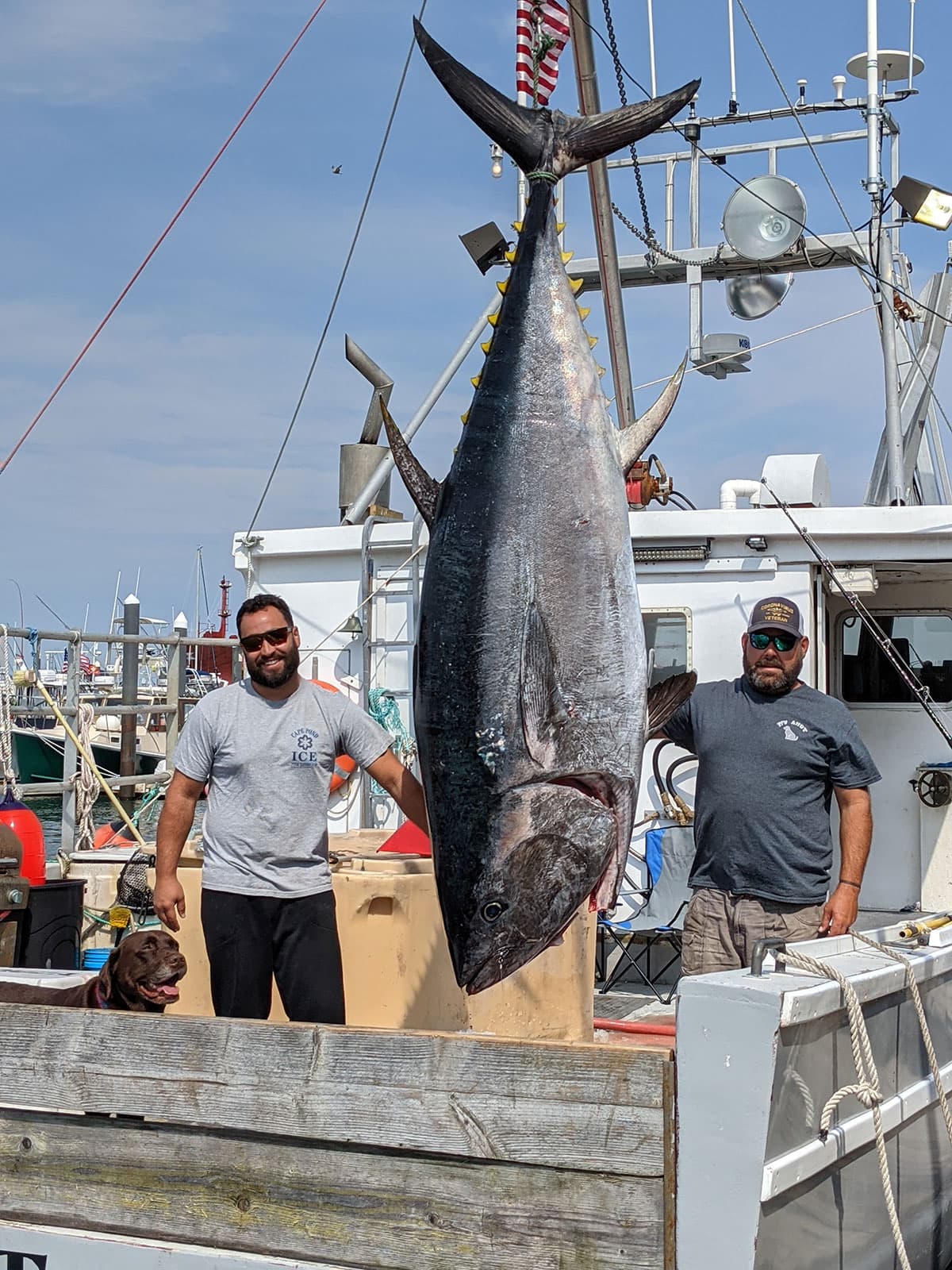 Essential Tuna Trip Checklist: Safety, Tackle, and Tournament Rules