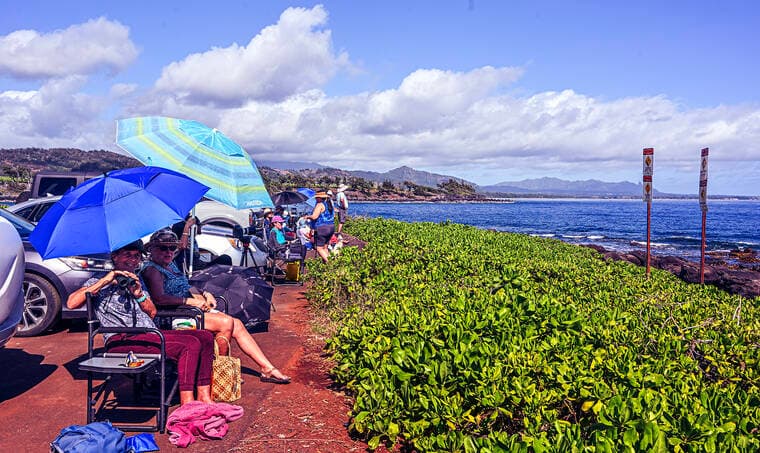 Kauai Records Most Whales Statewide During Jan. 31 Sanctuary Ocean Count