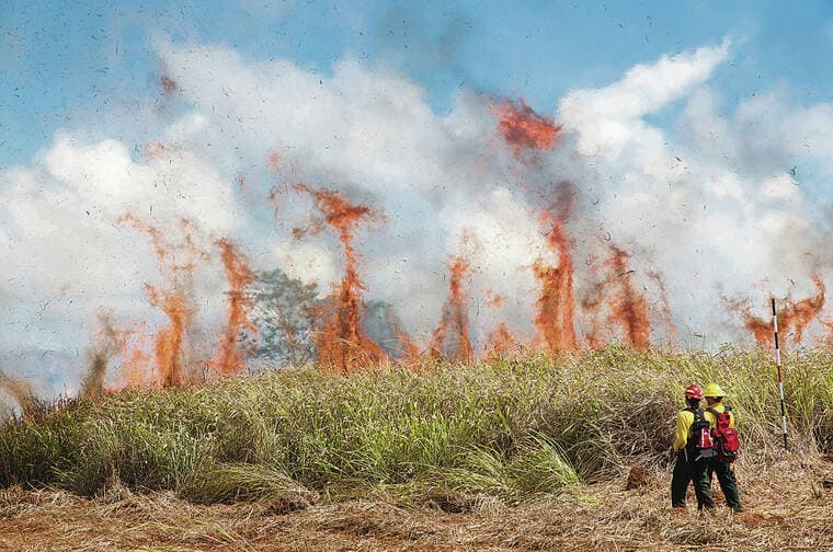 Bezos $2M Funds UH Study of Wildfire Risk on Former-Plantation Lands