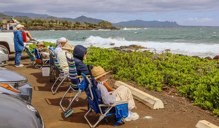 Kauai Volunteers Spot 169 Humpback Whales in 2026 Final Ocean Count