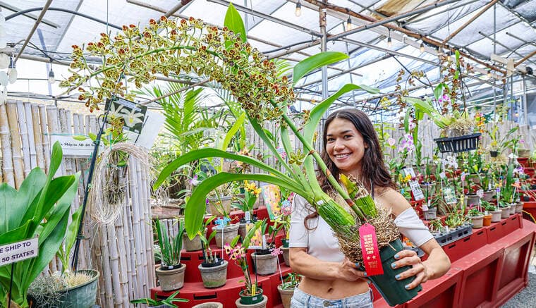 Mother’s Day rush strains Orchid Alley’s family-run Kaua‘i business