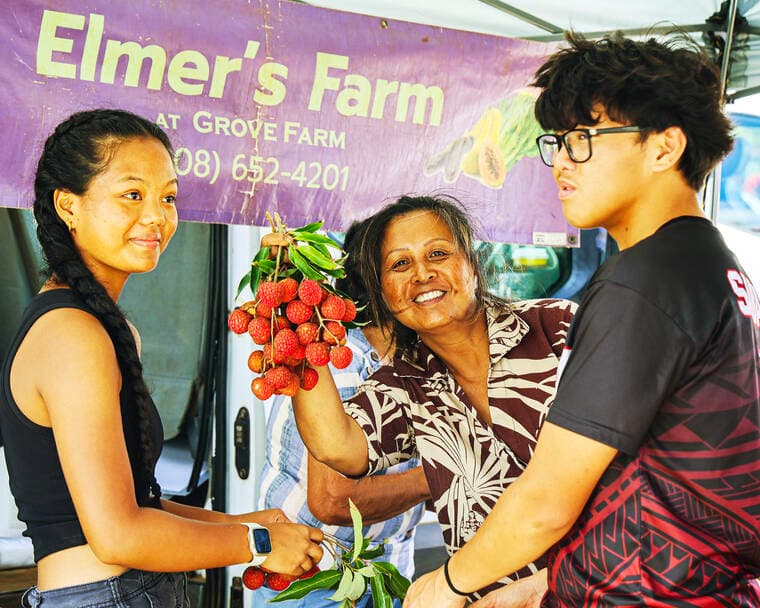 Kaimana lychee season gets boost from reused bird netting