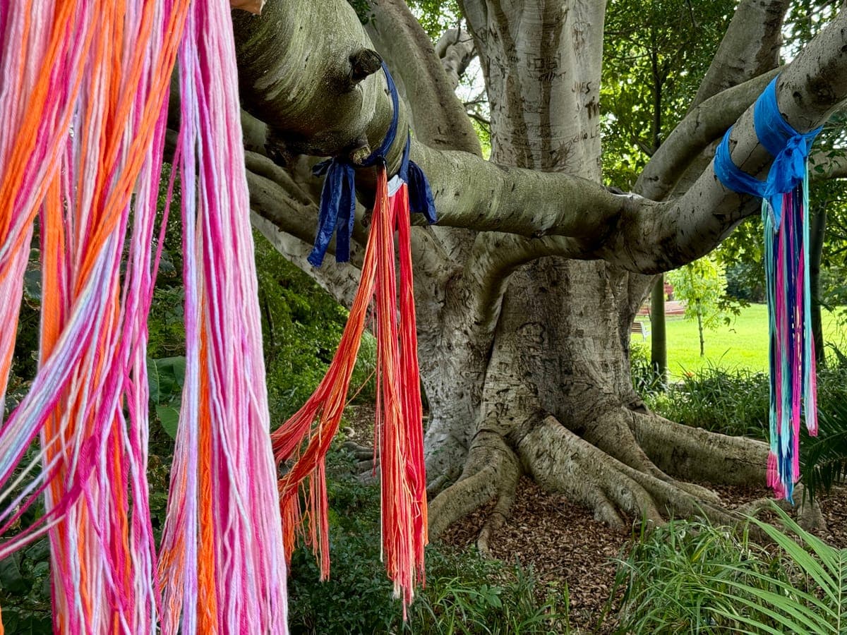 Thirroul Volunteers Yarn-Bomb Trees and Fences for Annual Seaside Arts Festival