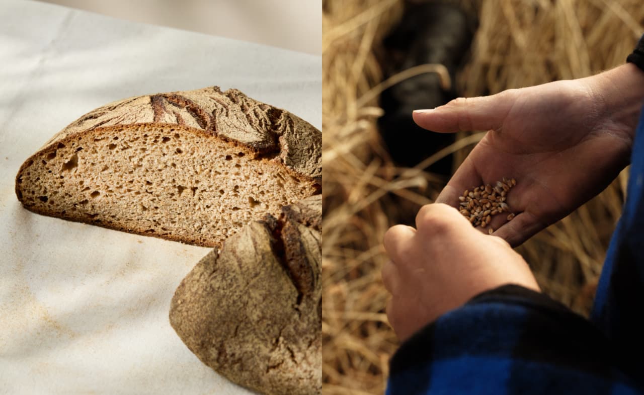 Gail’s Bakery launches heritage-grain sourdough loaf for Earth Day