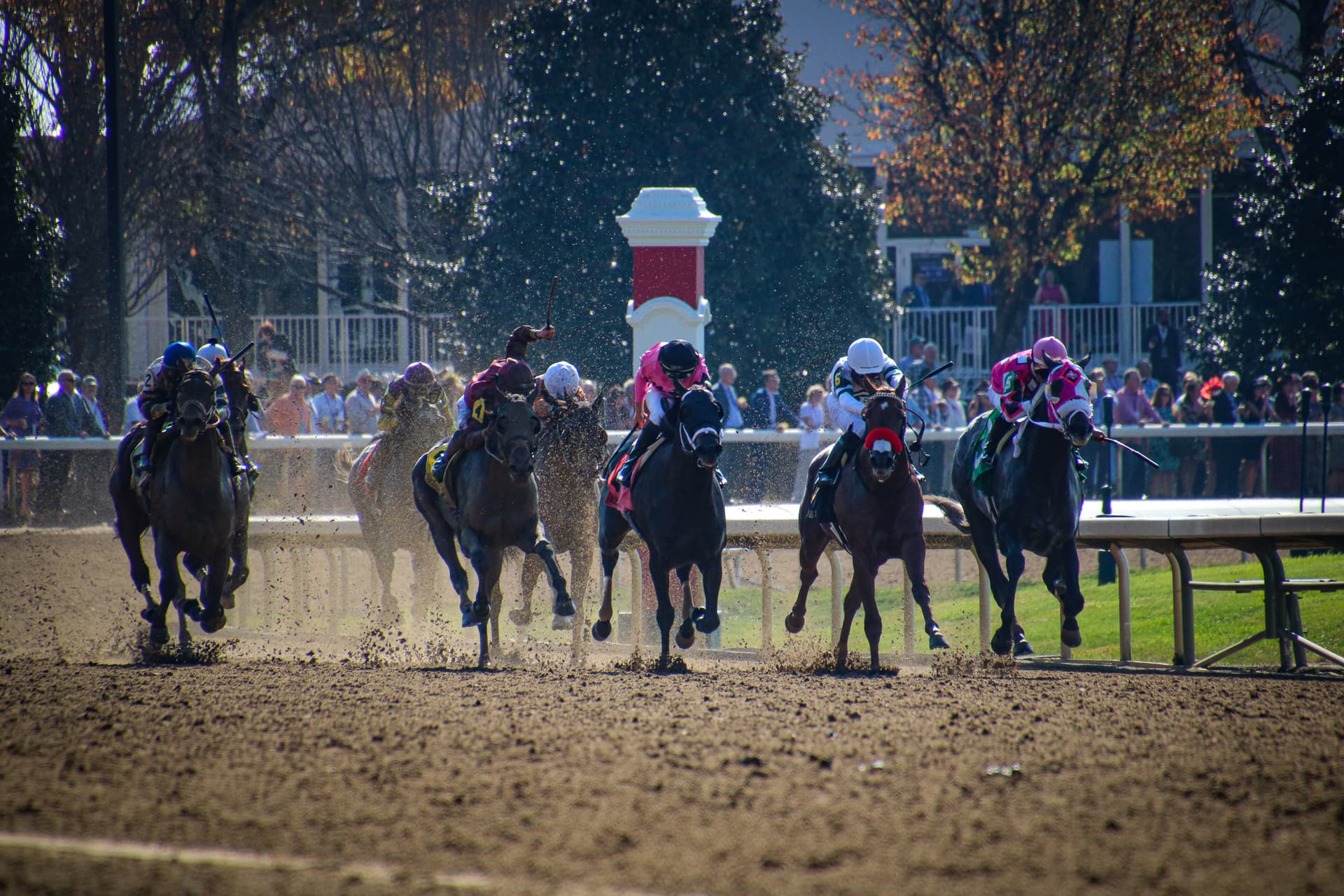 TAA Announces 20 VIP Racing Packages in 2026 Benefit Auction