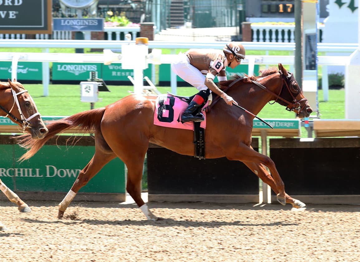 Starship Beauty flash sale spotlights Derby family and broodmare value