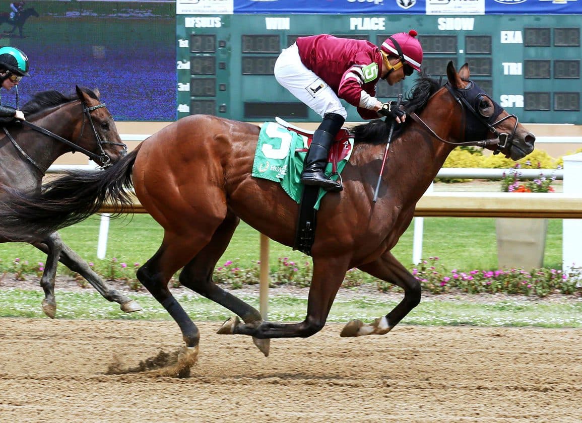 Life Is Good Tops Expert Picks for 2026 Leading Freshman Sire