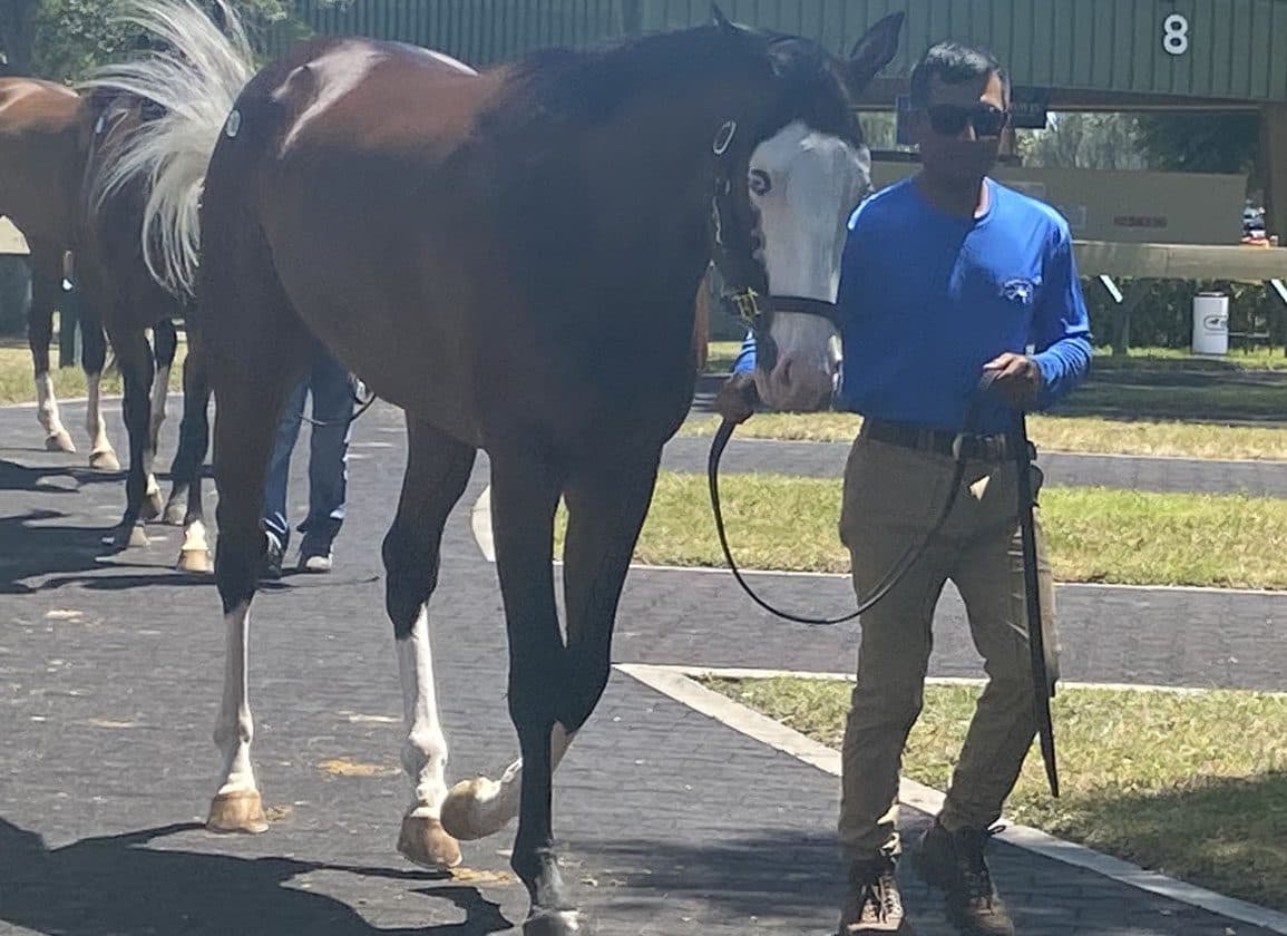 OBS March 2-Year-Olds Sale Sets Record $72 Million Gross