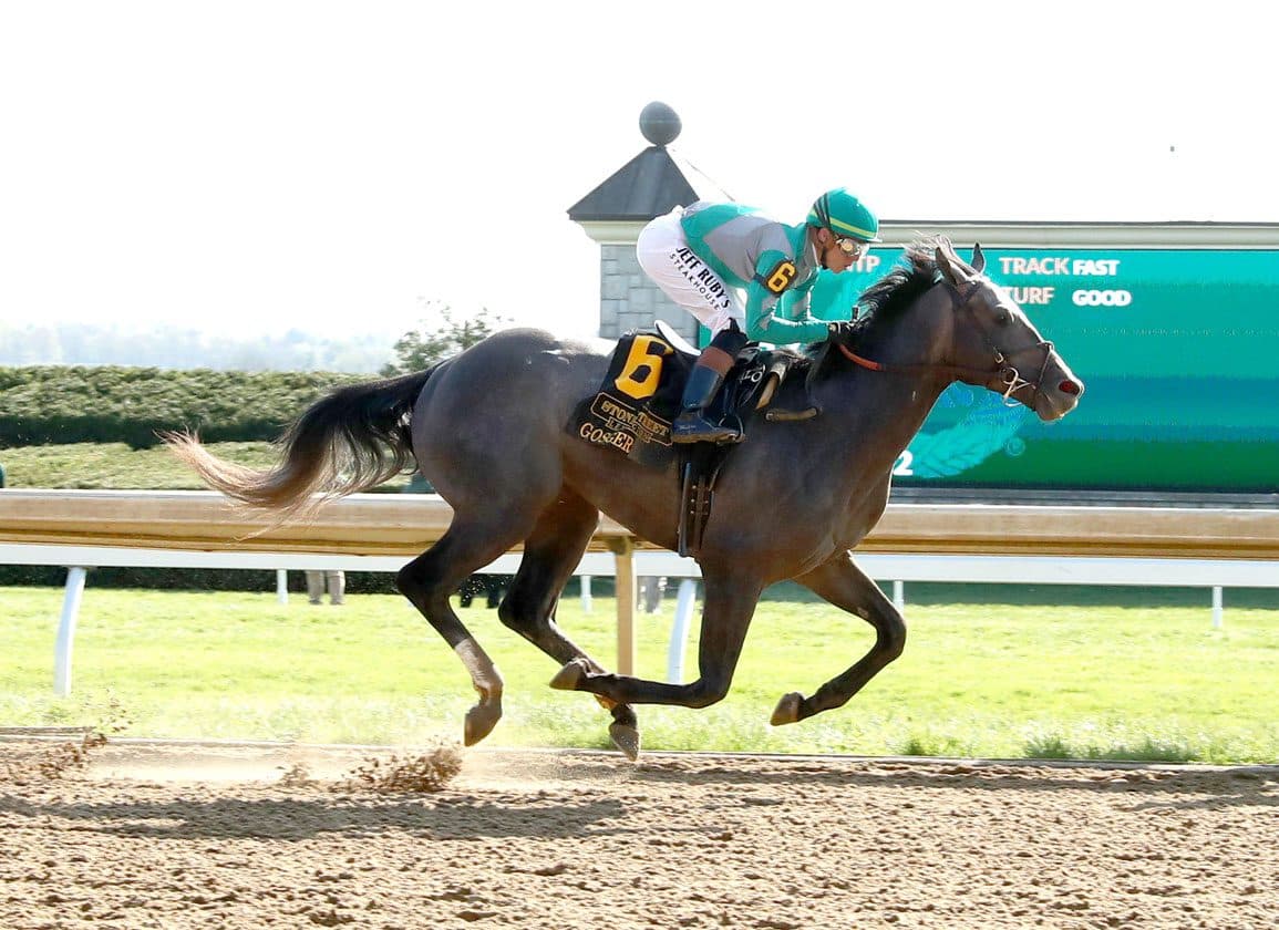 Gosger Makes 4-Year-Old Debut at Gulfstream Following Preakness Stakes Run