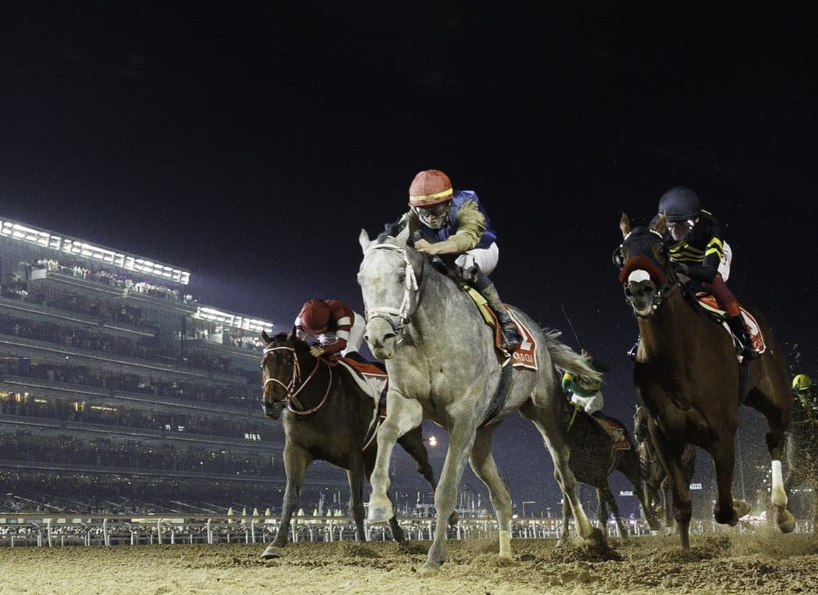 Forever Young Seeks Dubai World Cup Glory After Back-to-Back Saudi Cup Wins