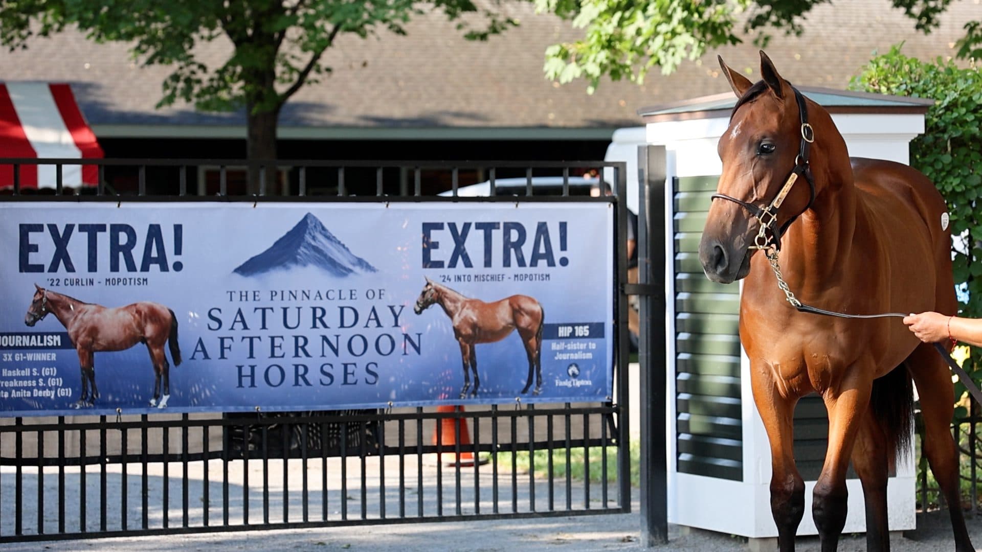 Front Run the Fed Heads to New York for 2026 Breeding Season