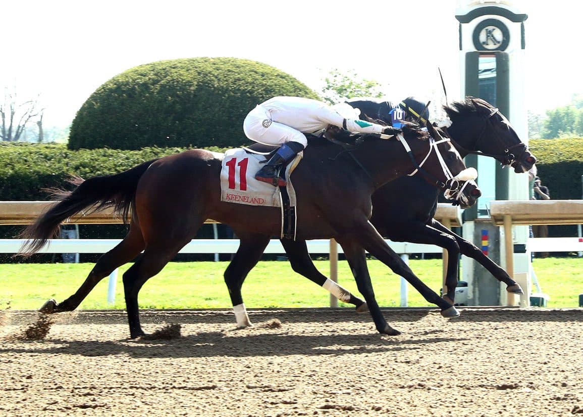 Belle's Keeneland debut, near-miss hints at bright future for Attard barn