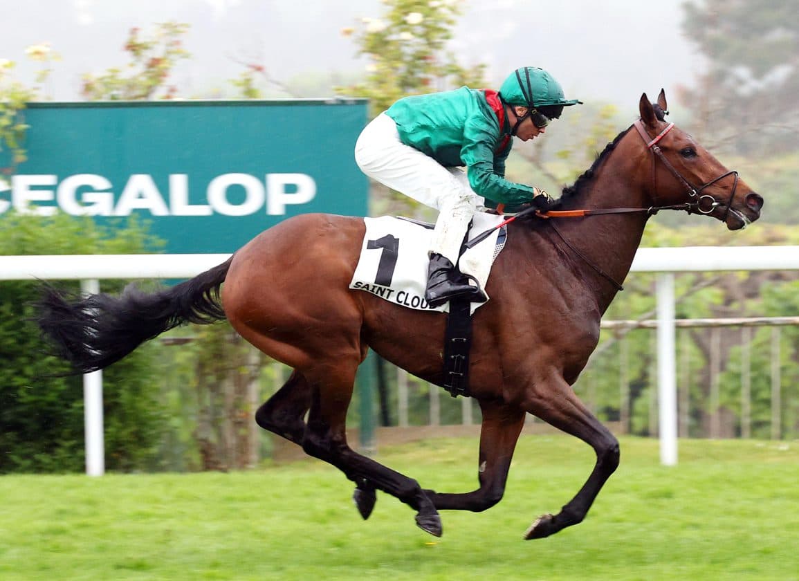 Daryz’s Brother Daryzan Dazzles on Saint-Cloud Debut, Earns Rising Star Honors