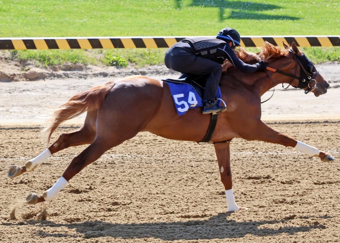 Fasig-Tipton sale sets records after untimed workout format change