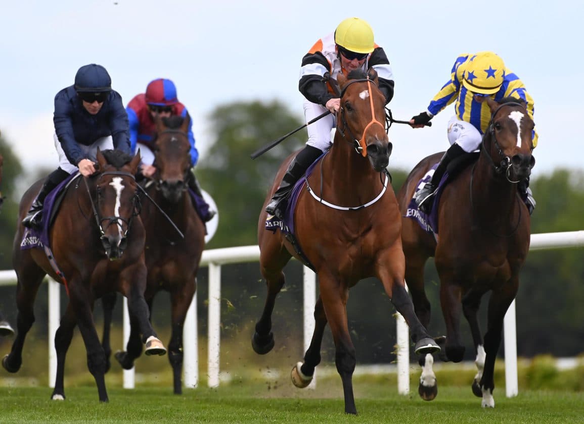 Nola Soul makes sparkling debut, earns Rising Star at Leopardstown