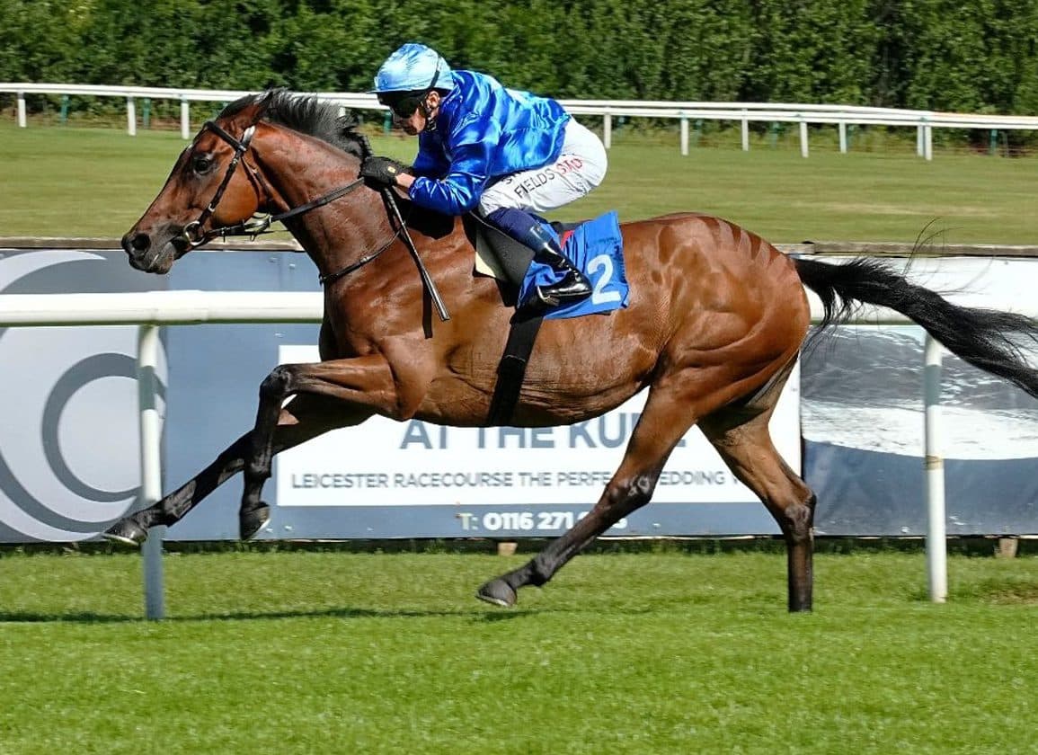 Santa Bravado leads five Royal Ascot-linked additions to Goffs London Sale