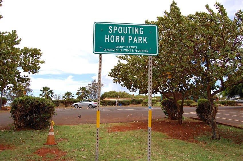 Kauai County Seeks Vendors for Spouting Horn Park Concession Stand