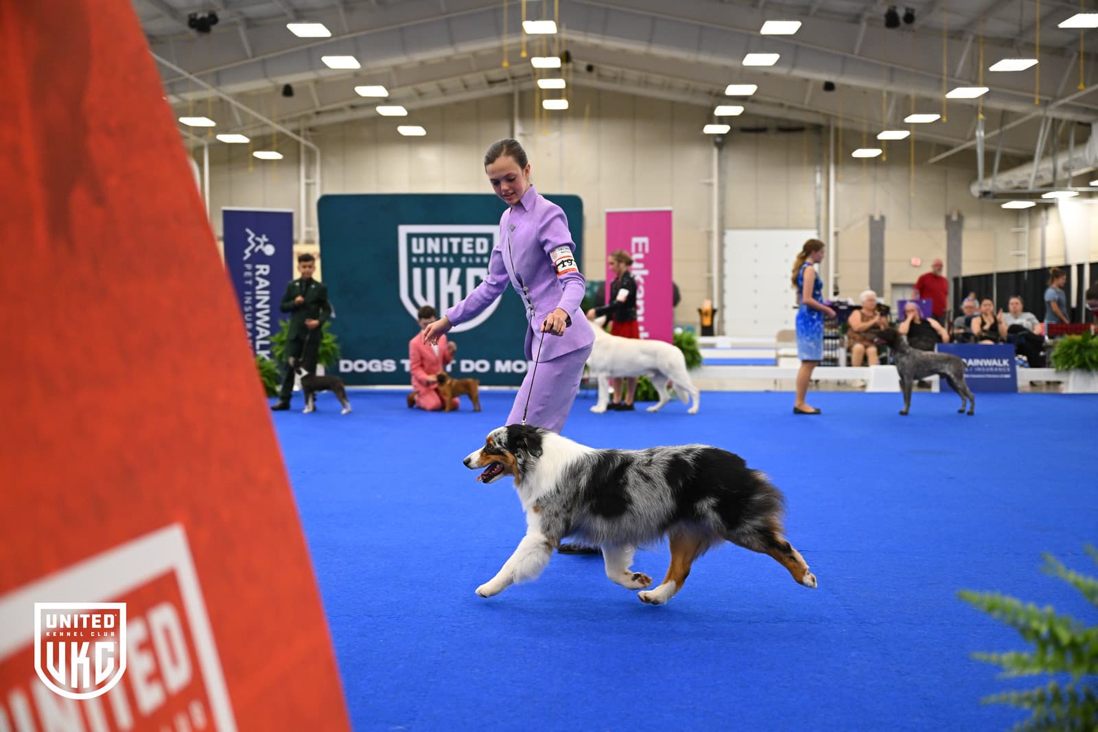 Rylinn Cranfill wins UKC Top Junior title at Premier Nationals