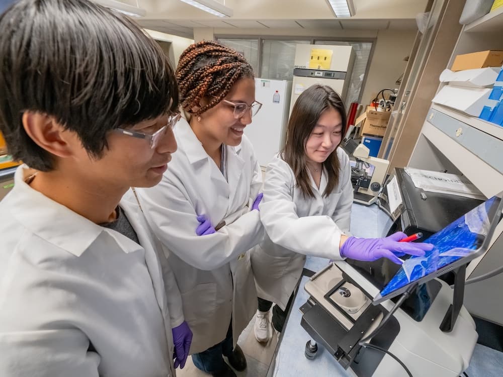 University of Maryland, Baltimore launches $33M Pivot initiative to bolster research