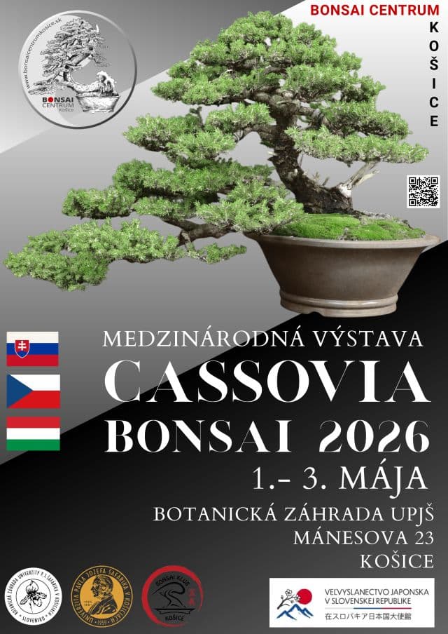 CASSOVIA BONSAI 2026 brings Central European trees to Košice botanical garden