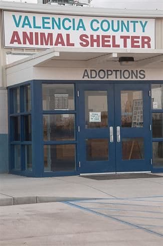 Valencia County Animal Services adopts new Tuesday-Saturday public schedule