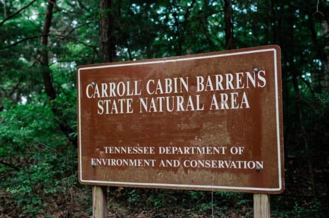 Carroll Cabin Barrens Highlights Decatur County’s Unique River Bluff Habitat