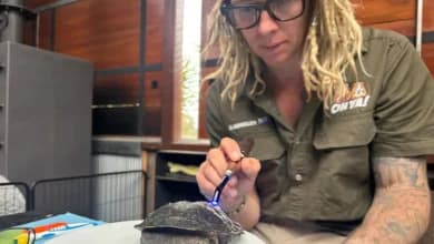 SINTX Names Ryan Elmore President to Accelerate SiN Biomaterials Commercialization