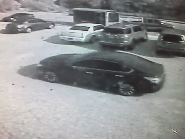 Miramar police arrest two in vehicle burglary spree, recover firearms