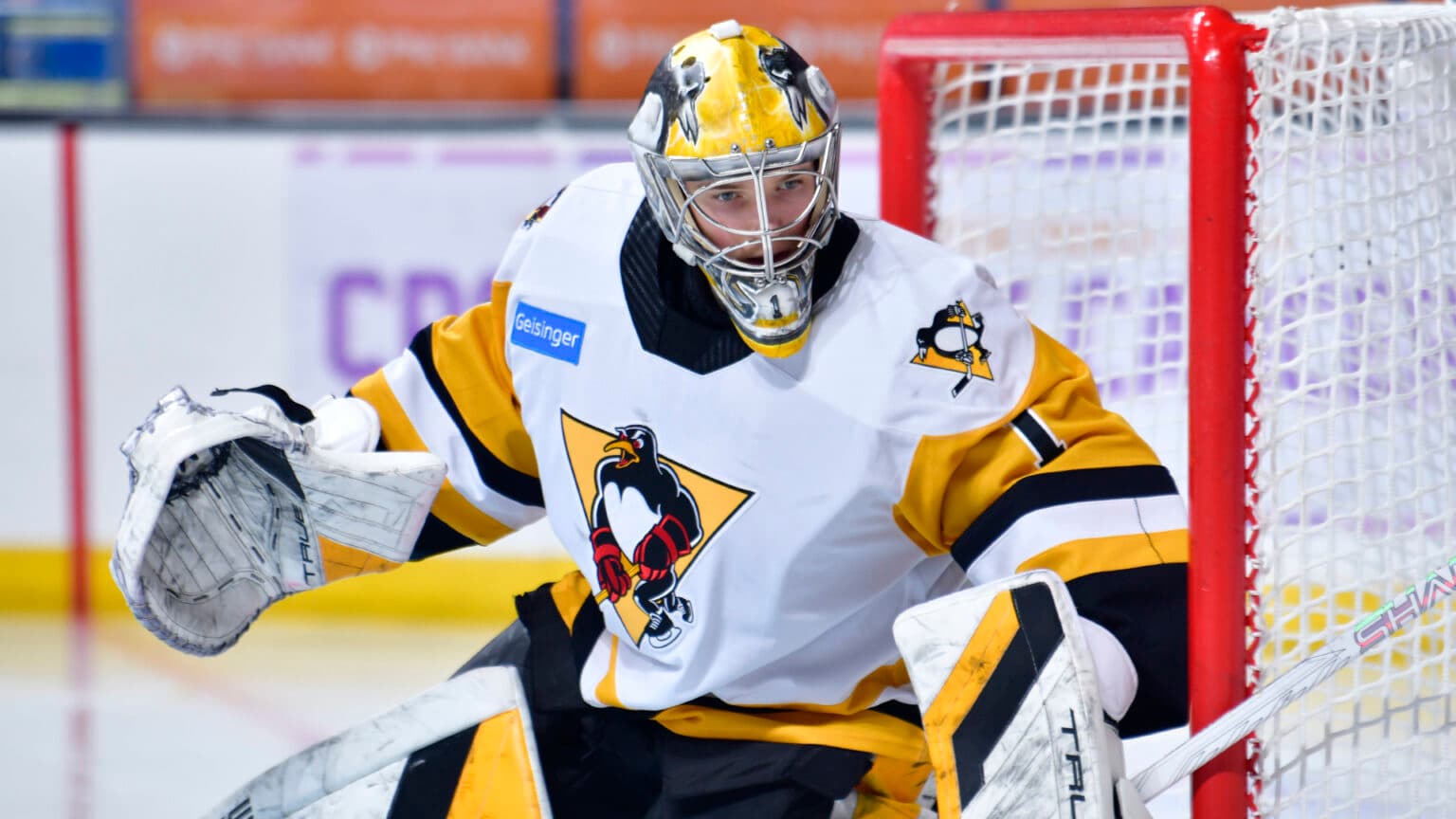 Murashov, Puustinen Lift Wilkes-Barre/Scranton Over Springfield Despite Zherenko 45 Saves