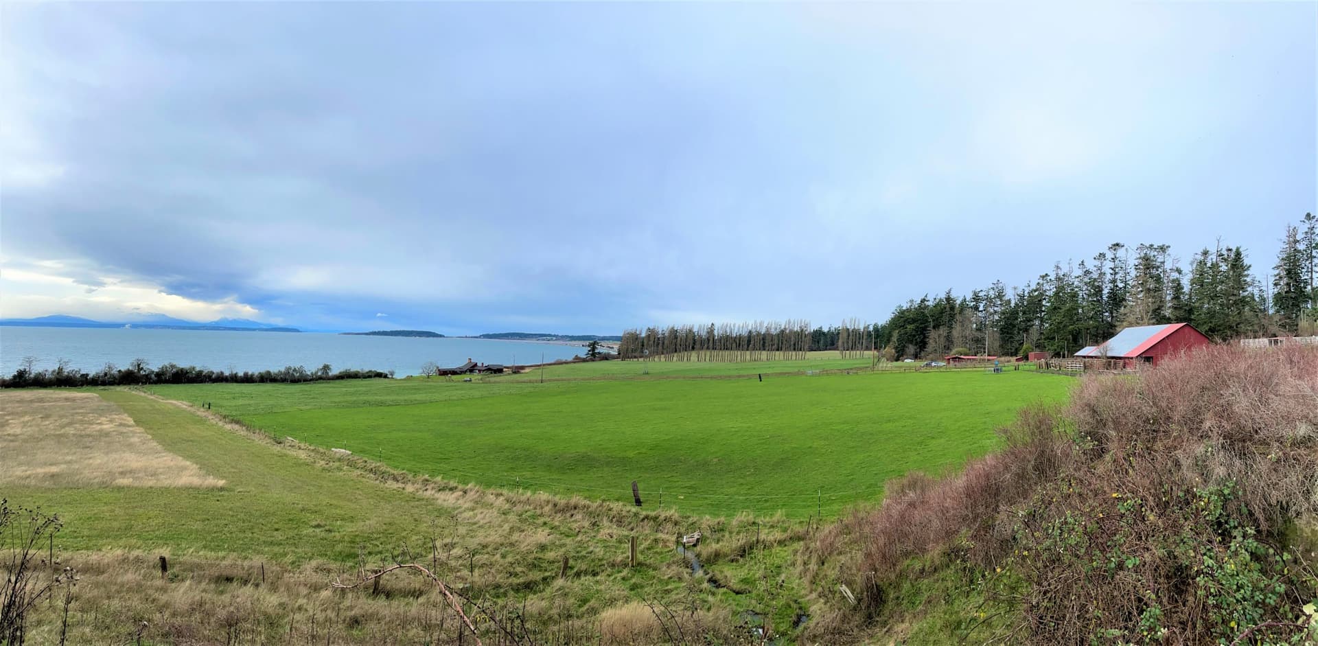 MLK Day of Service: Volunteers Restore Keystone Preserve in Coupeville