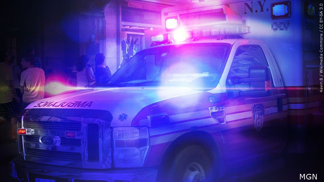 Ambulance hits bull moose near Ely, goes into ditch on Highway 169