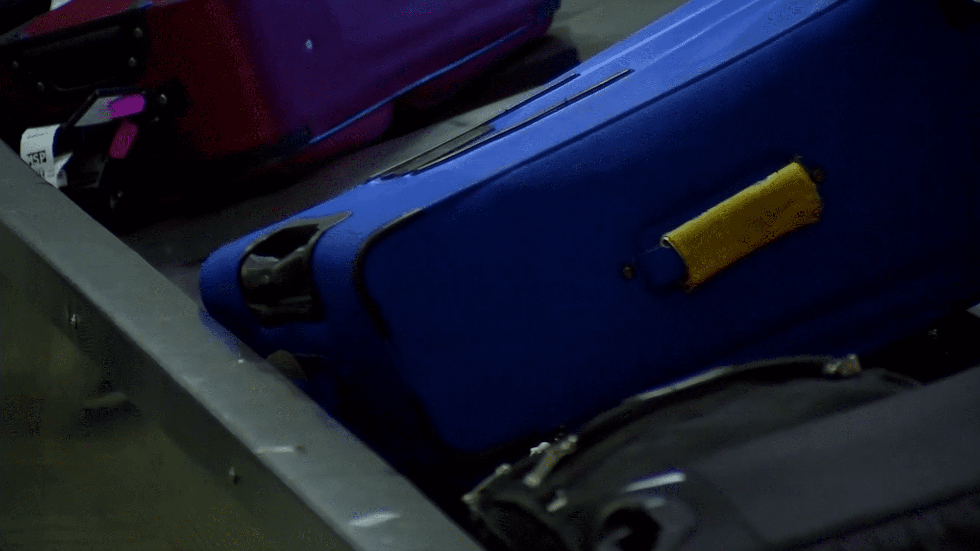 Nearly 30 Duluth East students reroute Egypt trip after State Department warnings