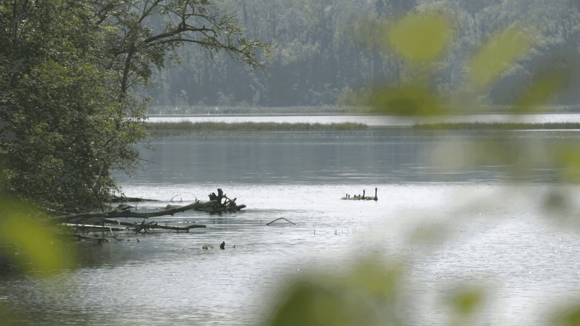Perch Lake Landing closes for summer accessibility, safety upgrades