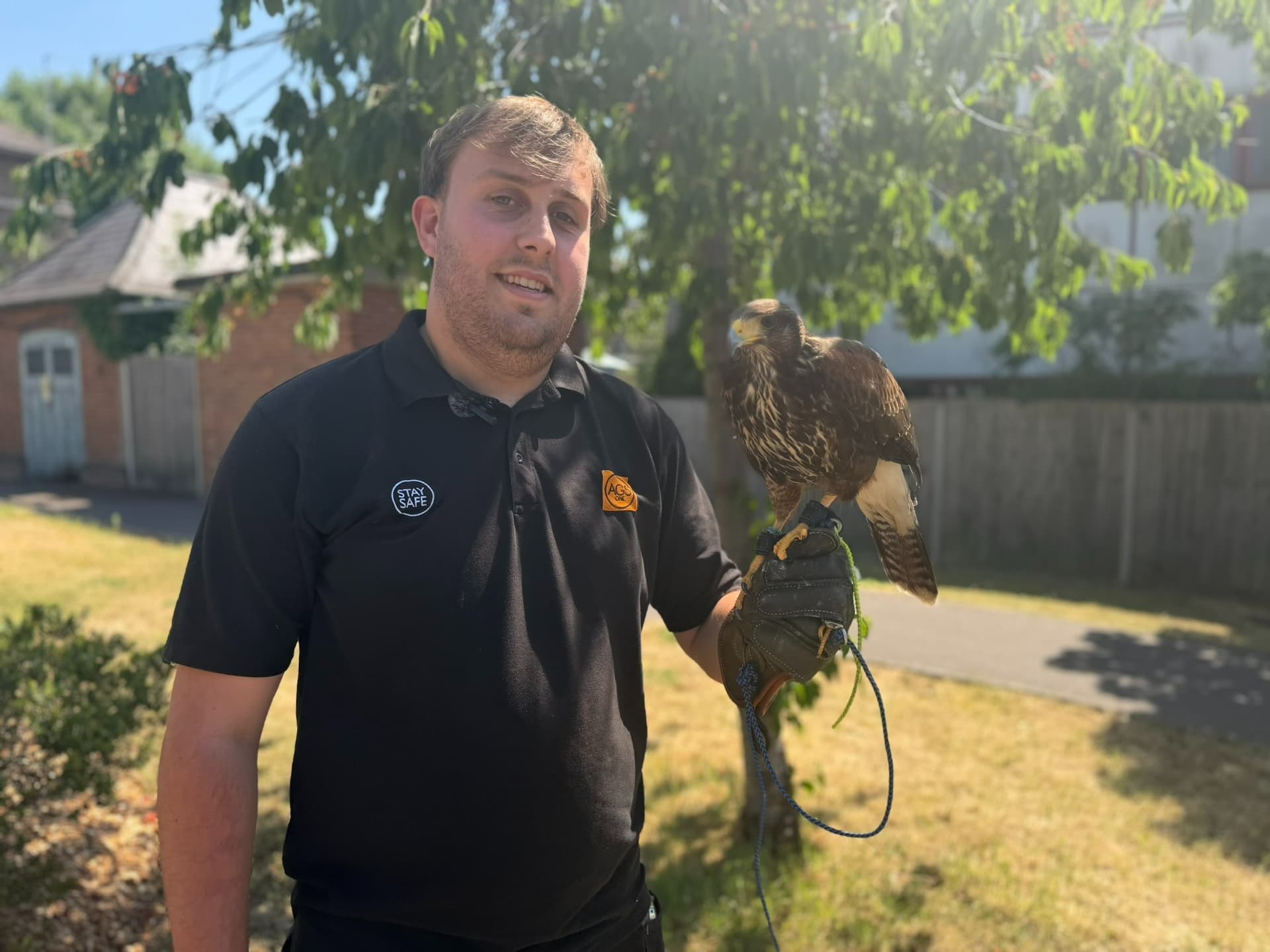 Watford hospital uses Harris hawk Tex to keep pigeons away