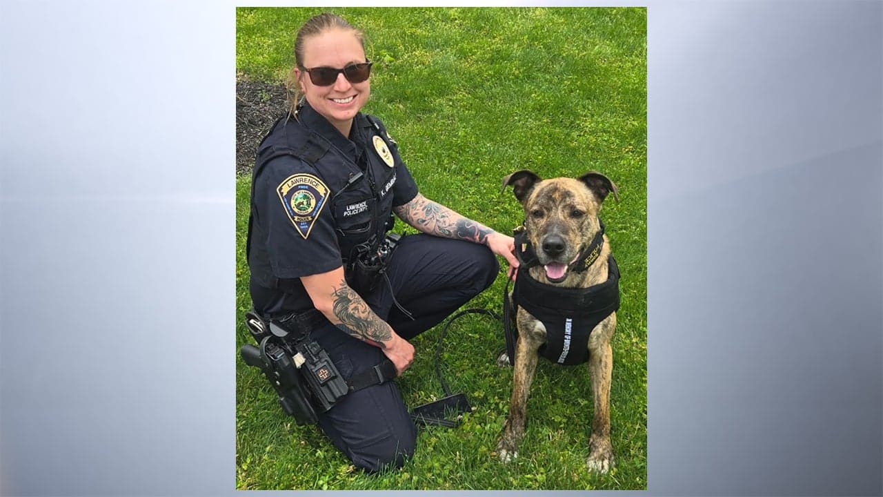 Lawrence police dog Sonny gets body armor from national nonprofit