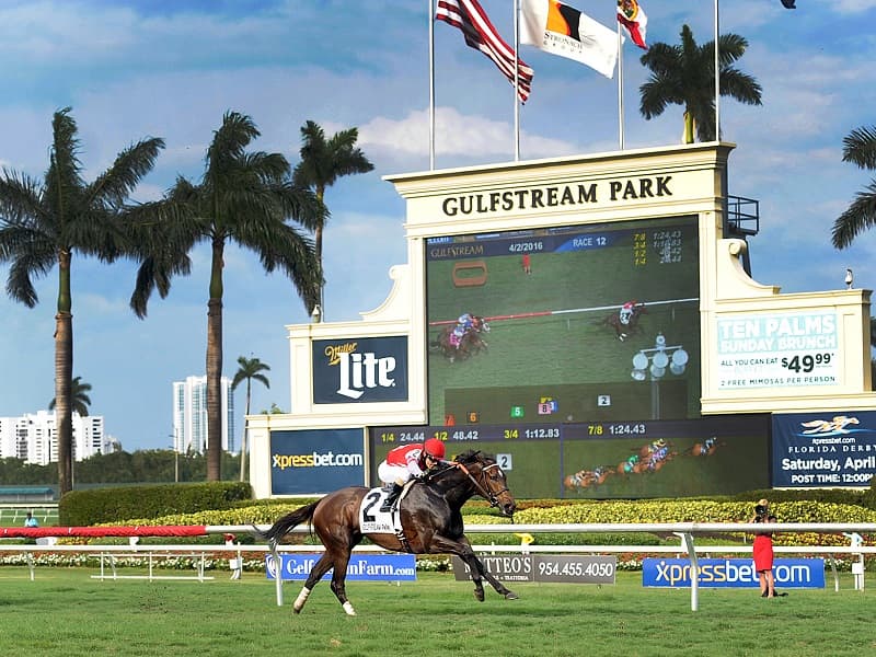Just Basking Rallies from Last to Win G3 Very One at Gulfstream