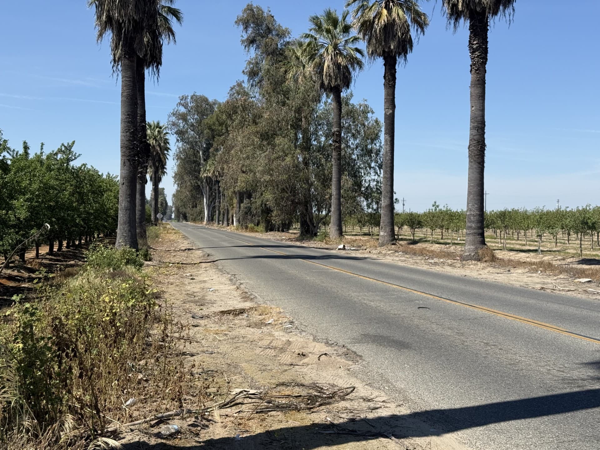 Kerman Man Identified as Victim of Suspected DUI Crash on Kearney Boulevard