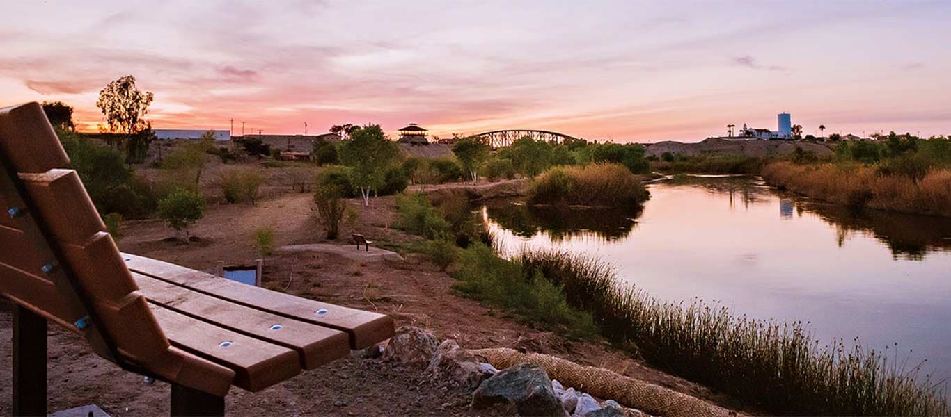 Plan Birding and Sunset Outings at Yuma Crossing and East Wetlands