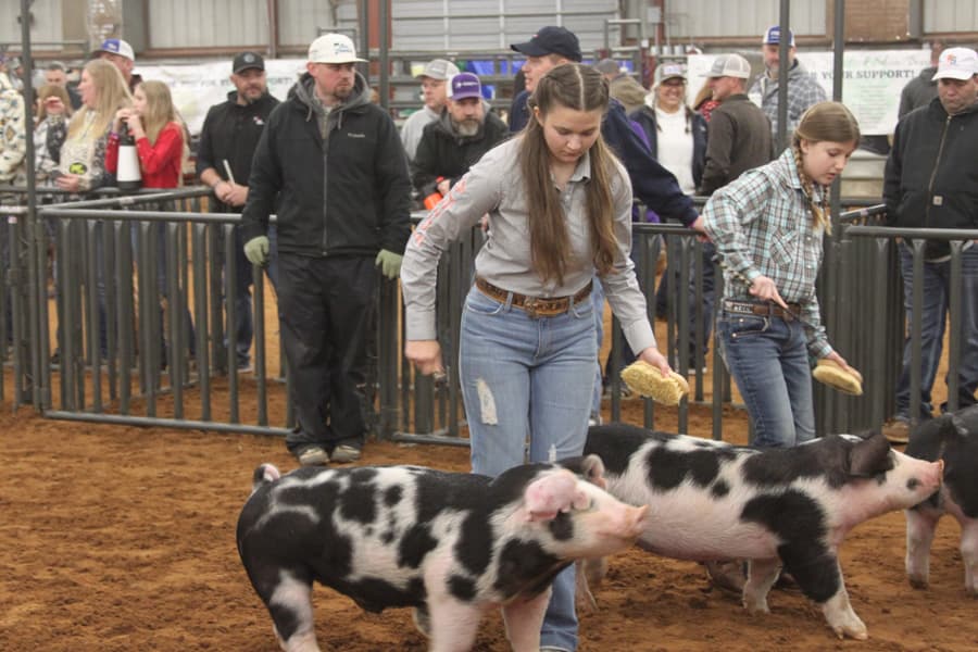 Collin County Junior Livestock Show Promotes Youth Agriculture, Local Economy