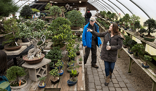 CBS Boston spotlights Bonsai West, where patience shapes living art
