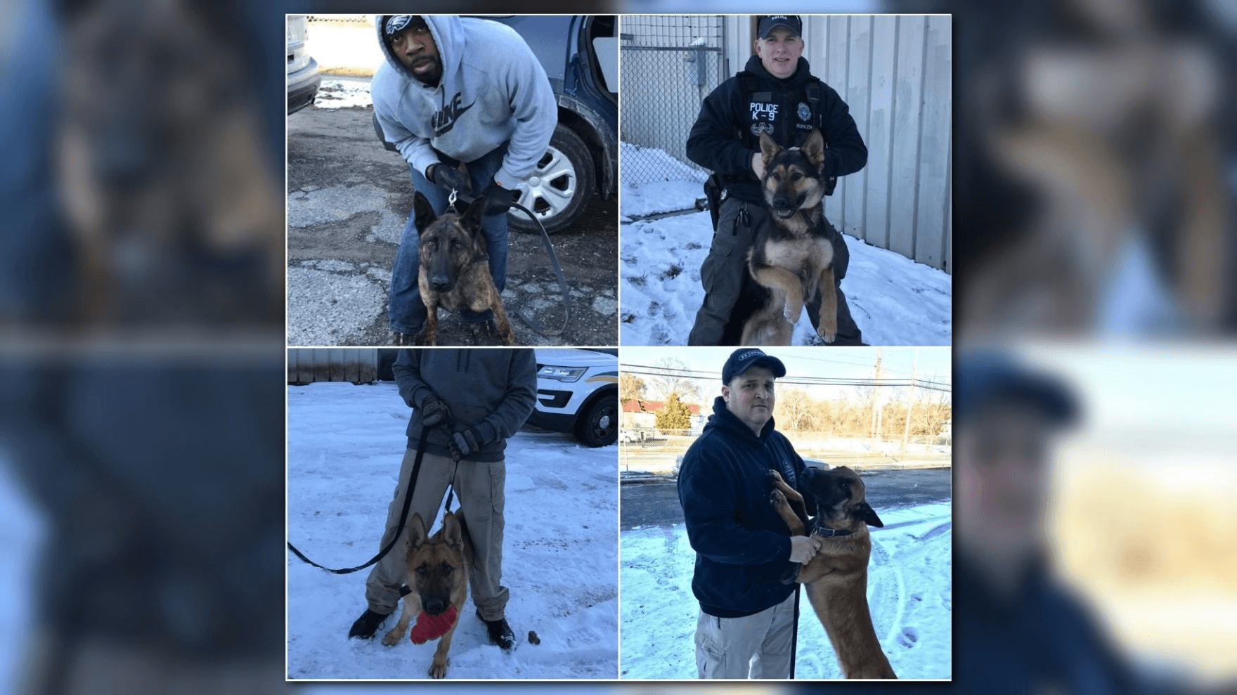 Newport News police train two new K9 recruits for service