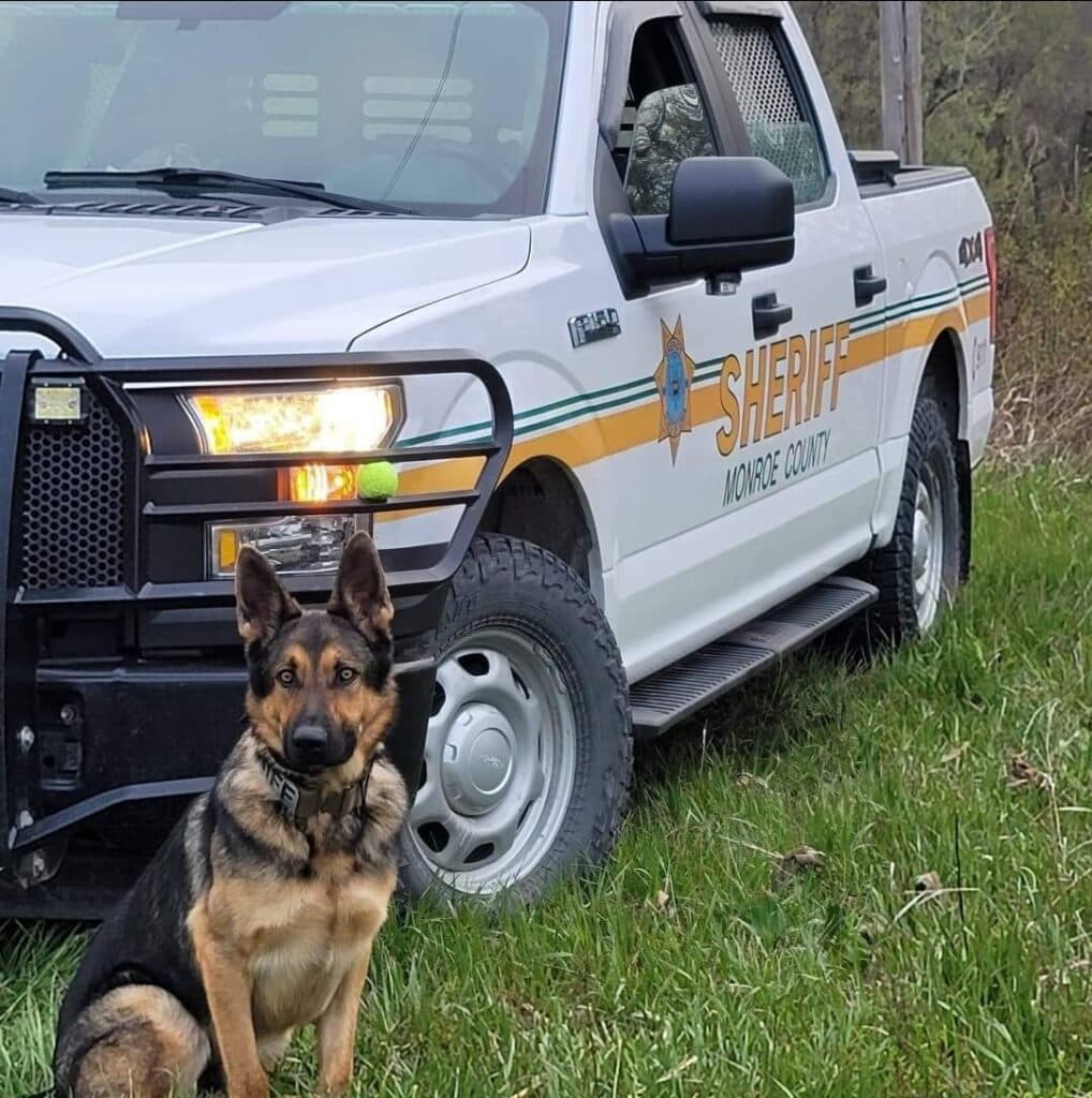 Monroe County to Consider Repeal of Local Dangerous‑Dog Code, Deferring to State Law