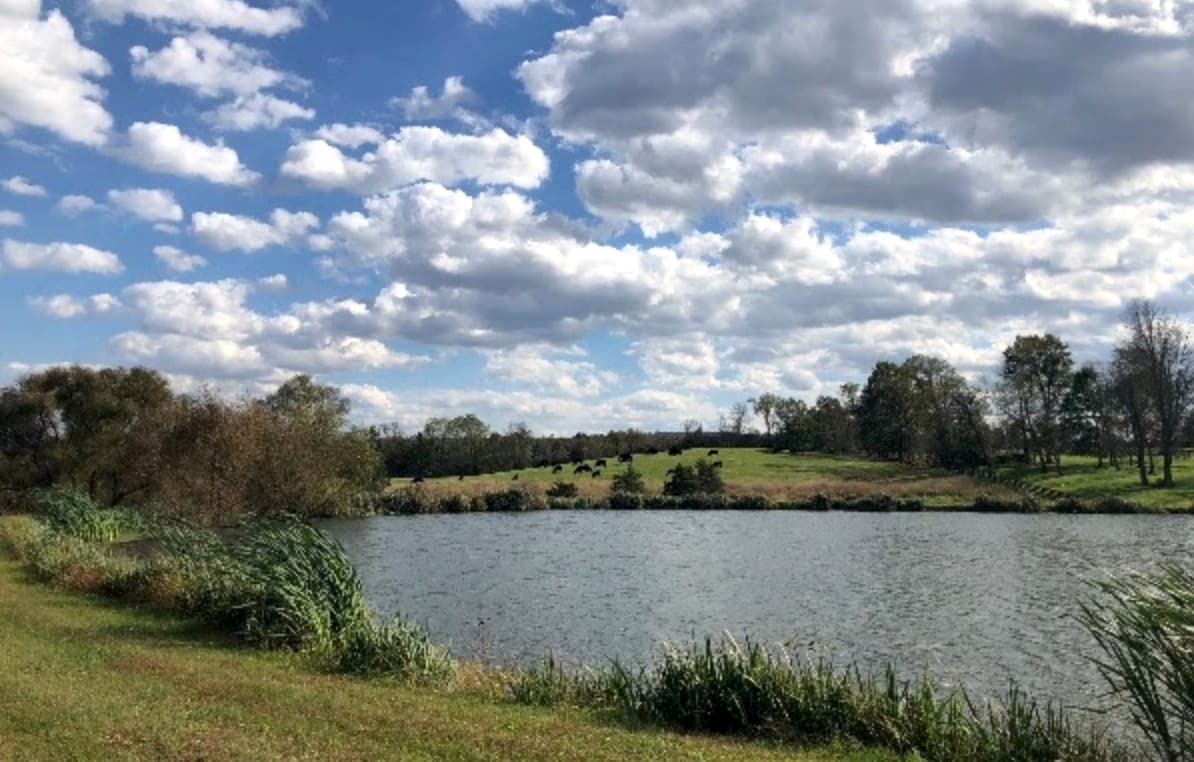 Adams County and Nature Conservancy form working group on natural lands