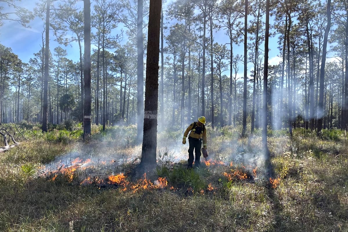 Smoke from Wildbuck Fire near Glenn Lakes begins to ease