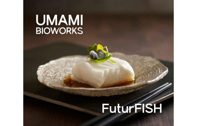 UK Food Safety Rules, Cocoa Press Updates, and Formlabs Expansions Highlight Weekly 3D Printing Brief